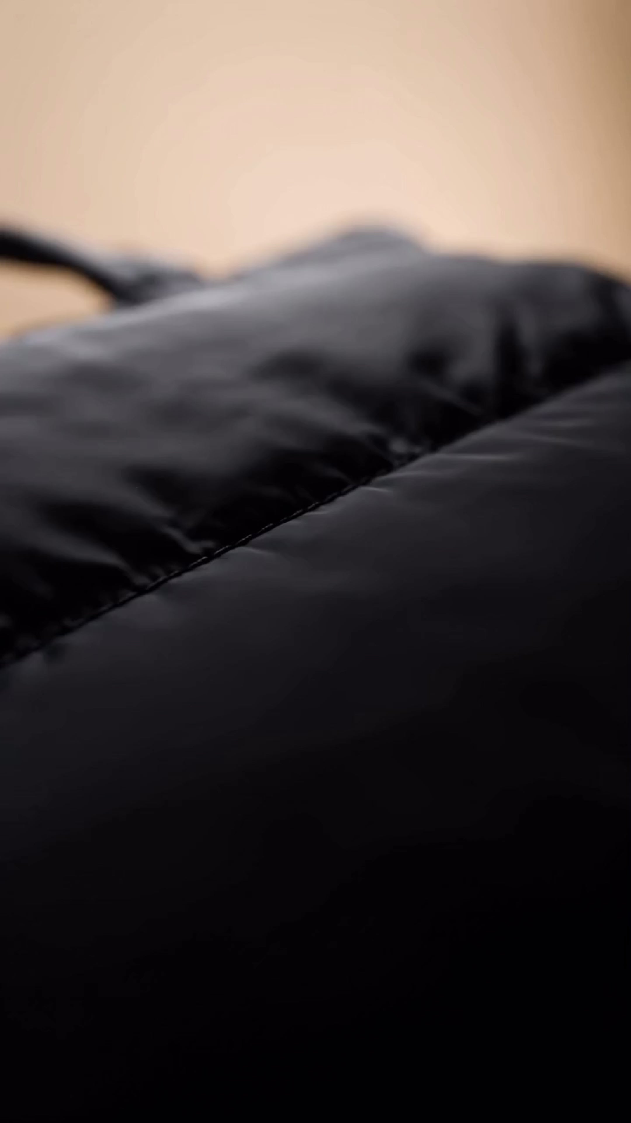 THE PILLOW-TOTE BAG