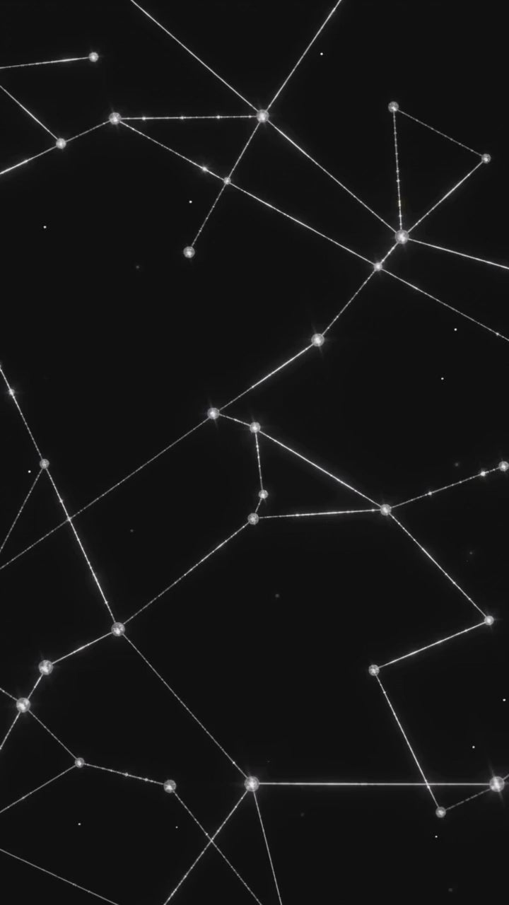 THE CONSTELLATION- HANDBAG